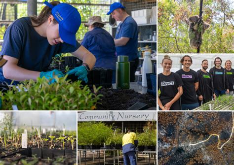 free corporate volunteering sydney|Corporate Volunteering for Conservation & Environment .